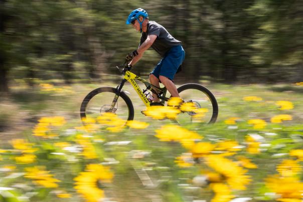 Spring 2025 Images: Mountain Biking at Knox Mountain Among Arrowleaf Balsamroot Flowers