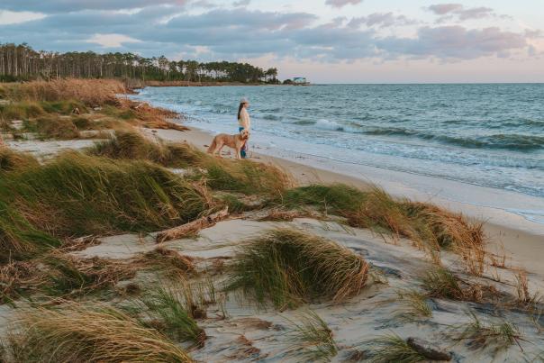 Bethel Beach Natural Area Preserve