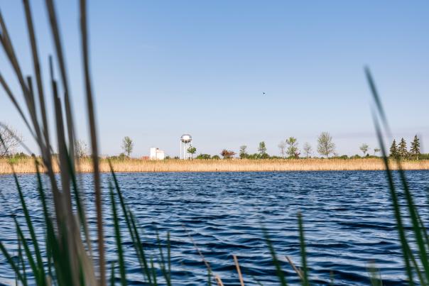 Ruger Park Fishing Pond