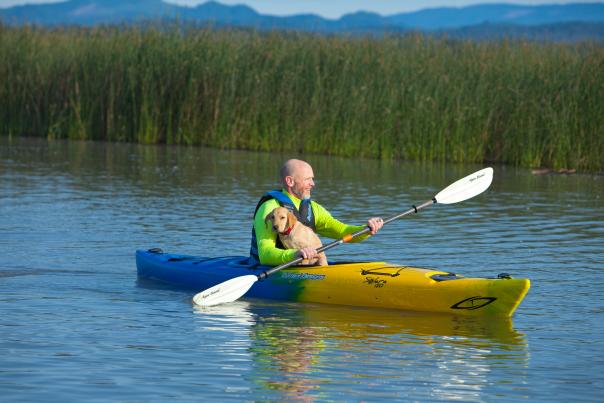 A man kayaks on Fern Ridge with his yellow lab puppy on his lap