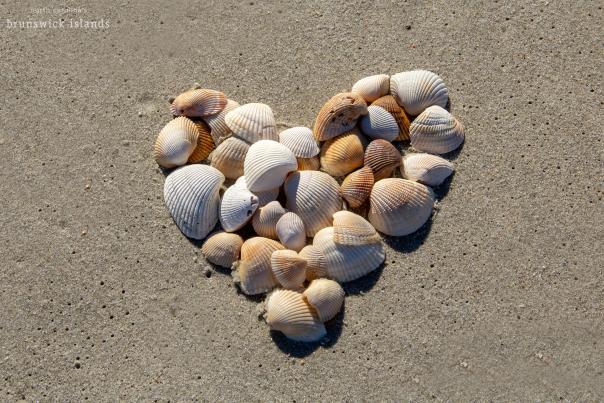 Shell Heart