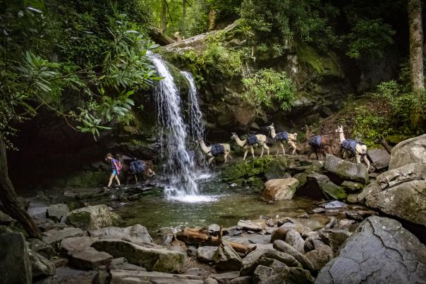 Grotto Falls