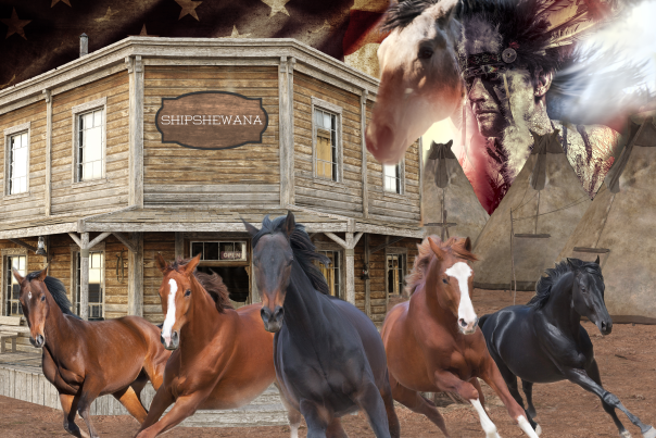The MEC Horses