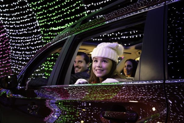 OKC Zoo Safari Lights