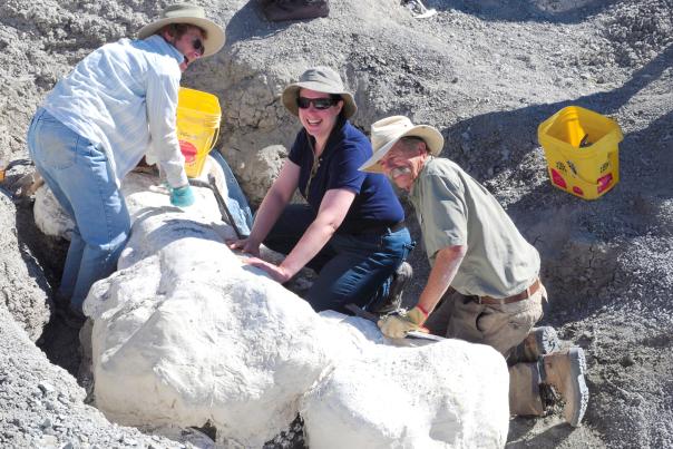 People around a Dinosaur Fossil