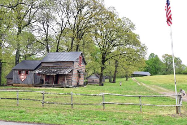 log cabins in a large rural area