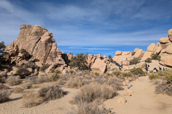 Joshua Tree National Park Hidden Valley Nature Trail