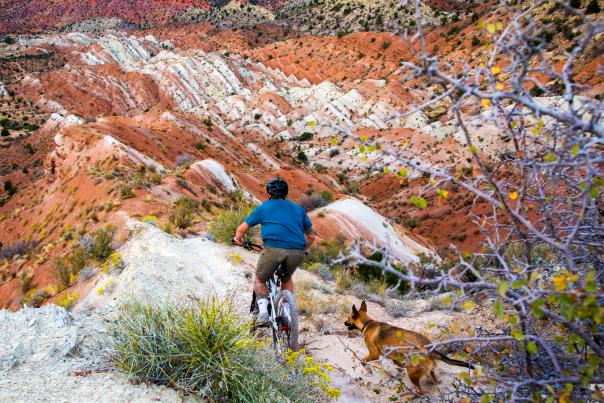 Razorback Trail - Thunderbird Gardens