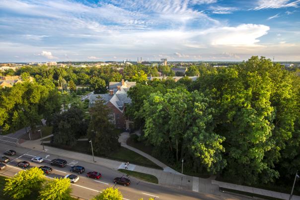 Blue skies and greenery looking over Michigan State University from Rock Bar at the Graduate
