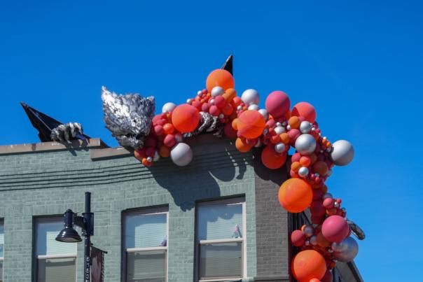 Renton Dragon and Knights