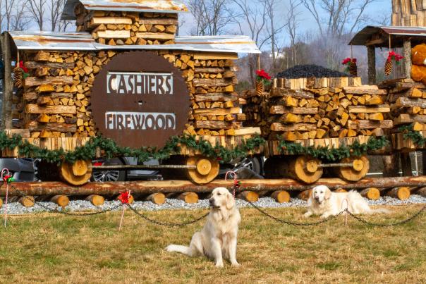 Cashiers Festive Events - Festival of Trees