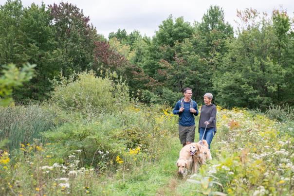 A couple and their dogs hiking in the Fall