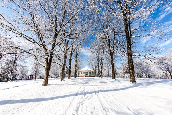Pavilion In Winter
