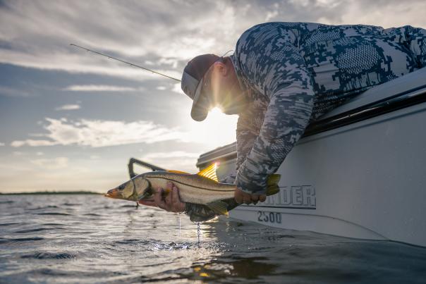 Fisherman Pulling a Snook Out of the Water