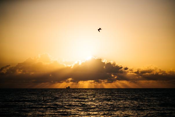 Fort Lauderdale Beach