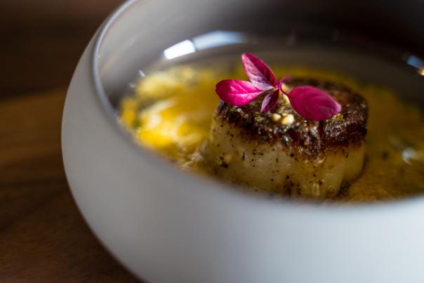 Dish at Grey Sweater
