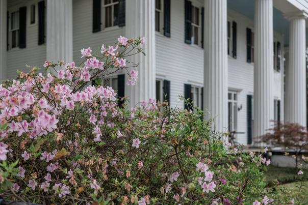 Historic Home in spring