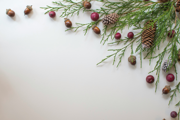 Winter cranberries
