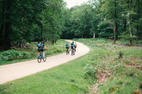 The Woods Cyclery - Group riding