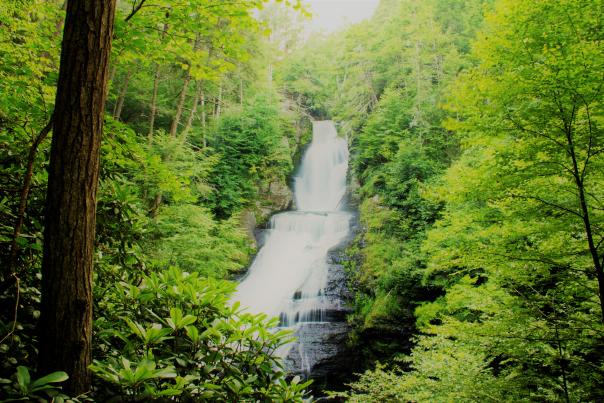 Explore the beauty of the Poconos on a waterfall tour