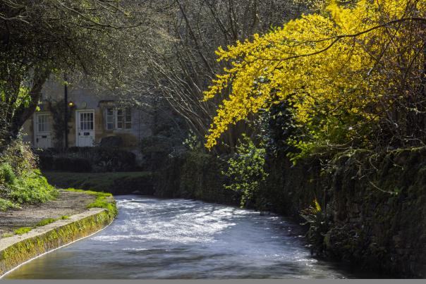 Blockley in the Spring