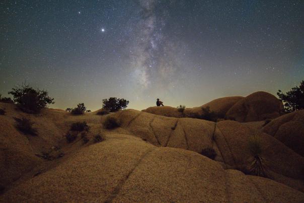 Looking up to the stars in Joshua Tree National Park near Twentynine Palms, California.
