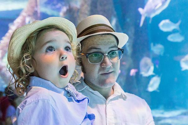 Audubon Aquarium
