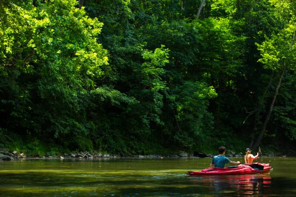 Couple paddling on the Shenandoah