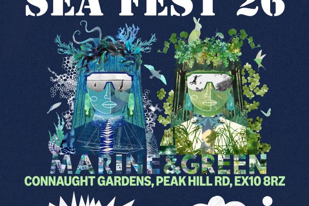 Sea Fest Marine and Green and Sea Spots Amplified