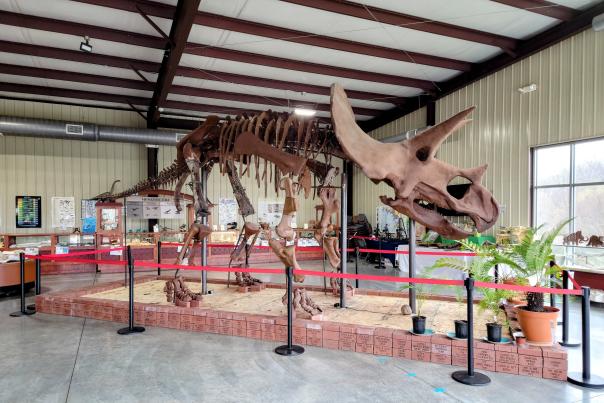 Missouri Institute of Natural Science