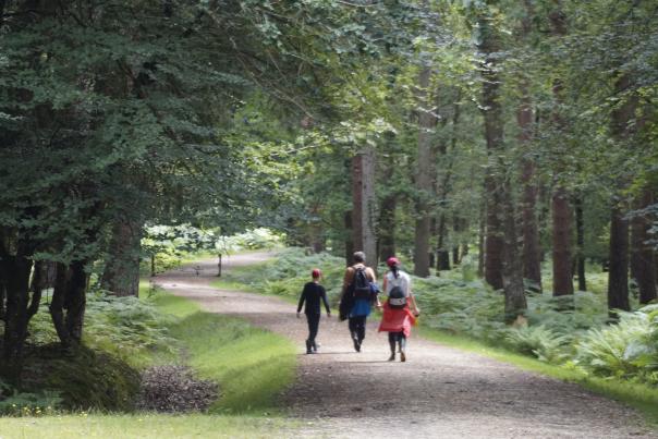 Family walking at Millyford Bridge in the New Forest