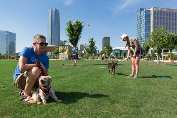 People playing with their dogs in Scissortail Park