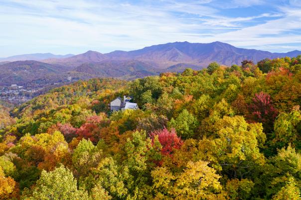 Fall-colored treetops with mountains in the background