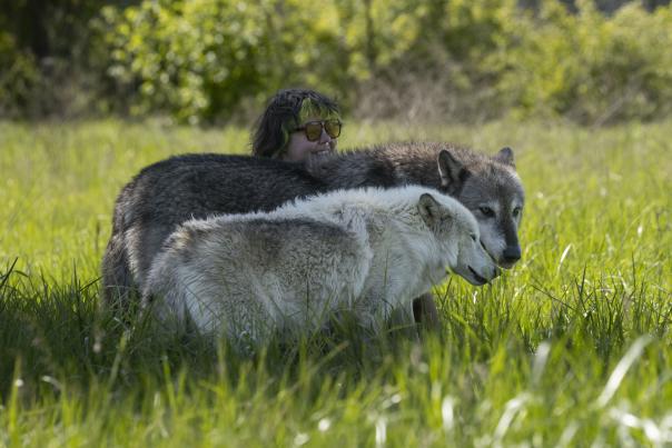 Wolf Park - Nikki Yoder with wolf