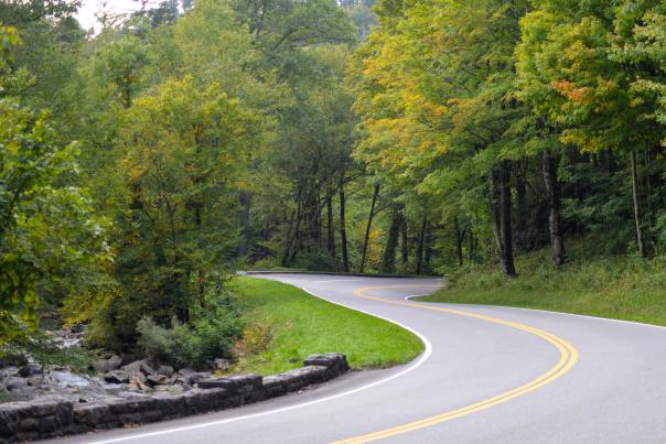 Park Announces Newfound Gap Road Paving Project