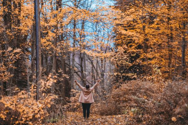 Fall