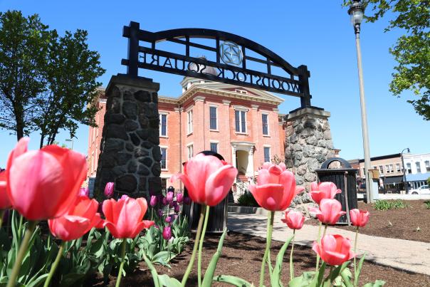 tulips outside the courthouse
