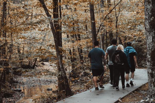 fall walking along a creek in the woods