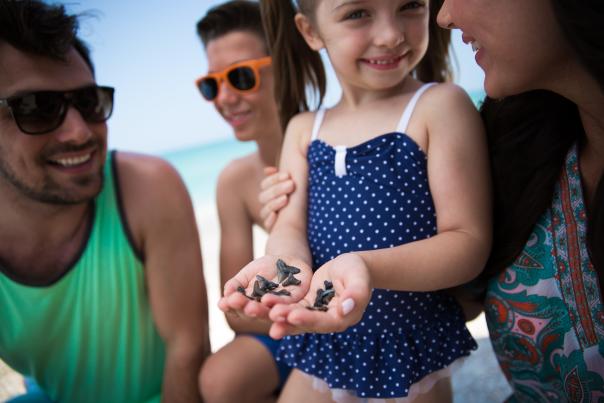 Little girl holding a handful of fossilized shark teeth on Englewood Beach