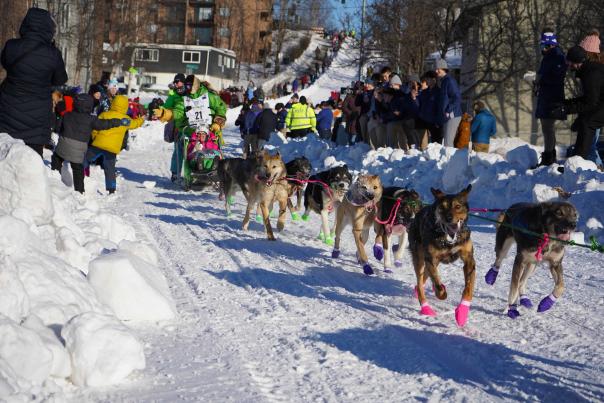 Iditarod Trail Sled Dog Race, Ceremonial Start in Anchorage, 2024