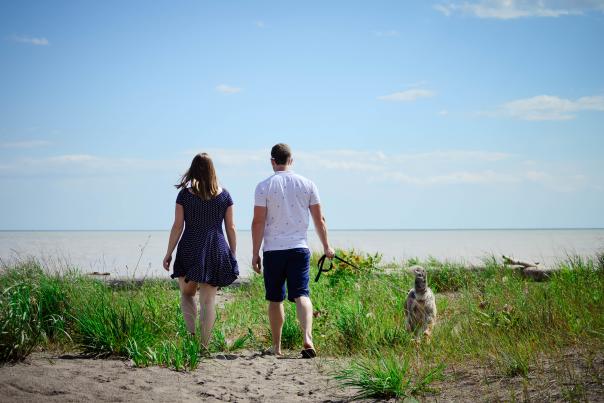 Walking Dog on Beach