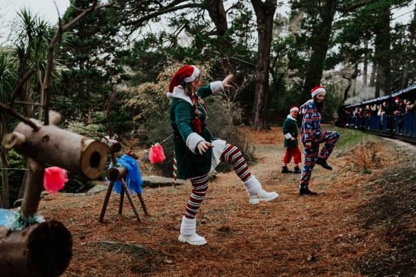 Exbury Gardens - Christmas experience