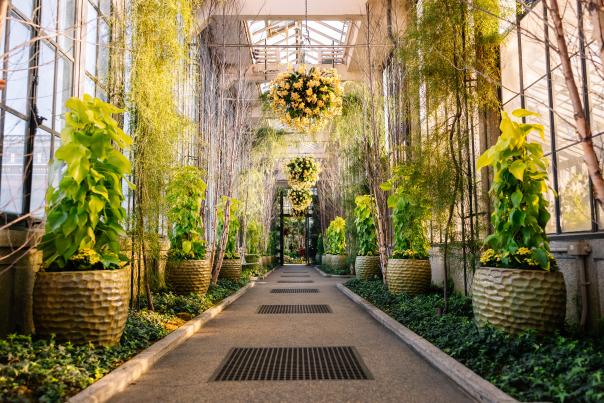 Longwood Gardens Conservatory