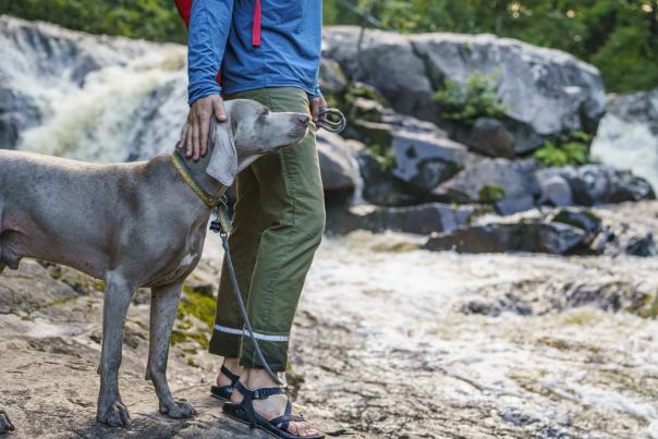 A man and his dog exploring Yellow Dog Falls in Big Bay, MI