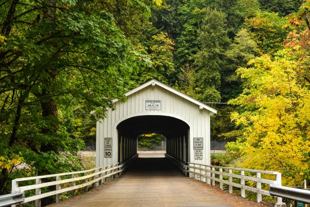 A covered bridge roadway surrounded by trees turning autumn colors.