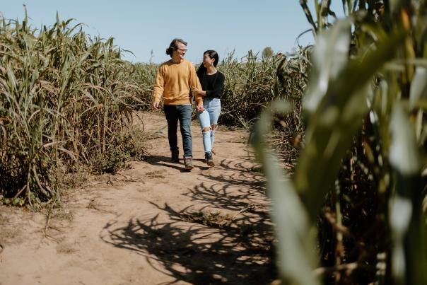 Corn Maze Rutledge-Wilson Farm Park
