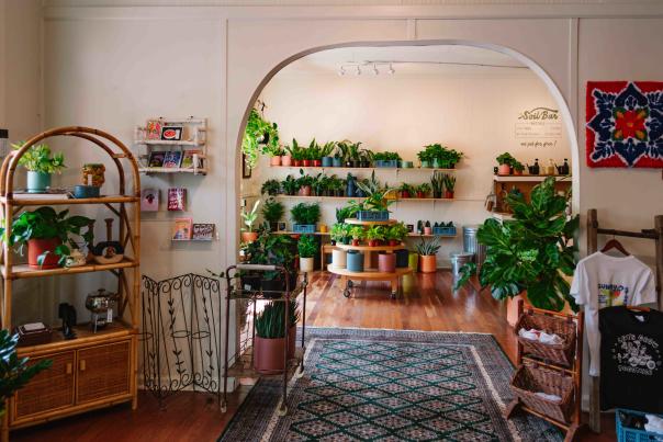 Pups Plants & Goods Shopping