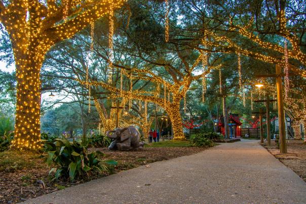 Zoo Lights