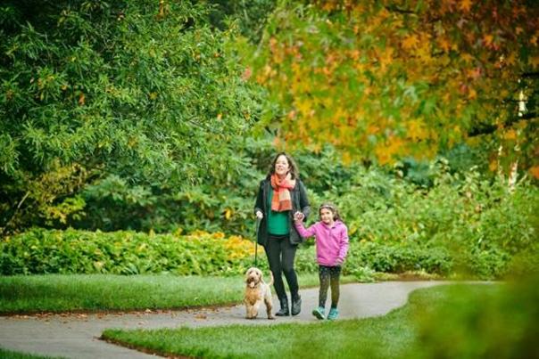 Dog-friendly days trial at RHS Garden Rosemoor extended over winter