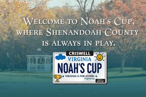 Video Thumbnail - vimeo - shenco_-_2501_noah's_cup
